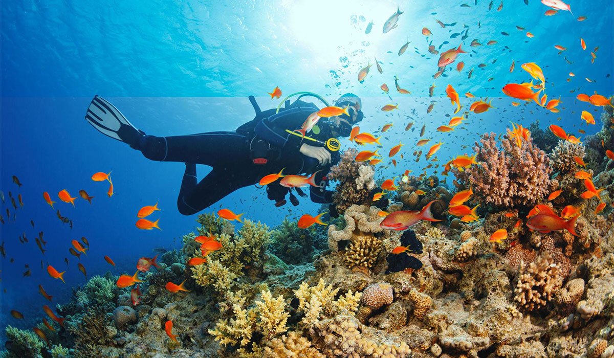 Discover the best Scuba Spots in Indonesia