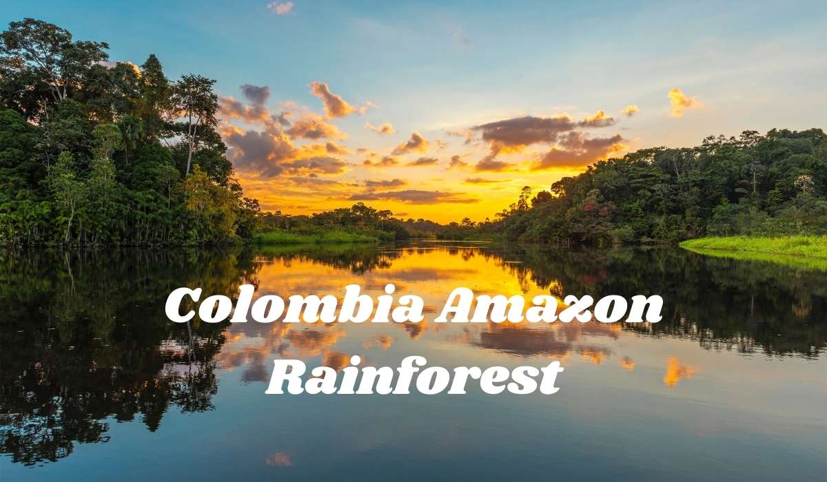 Discover guide to travel to Colombia Amazon rainforest