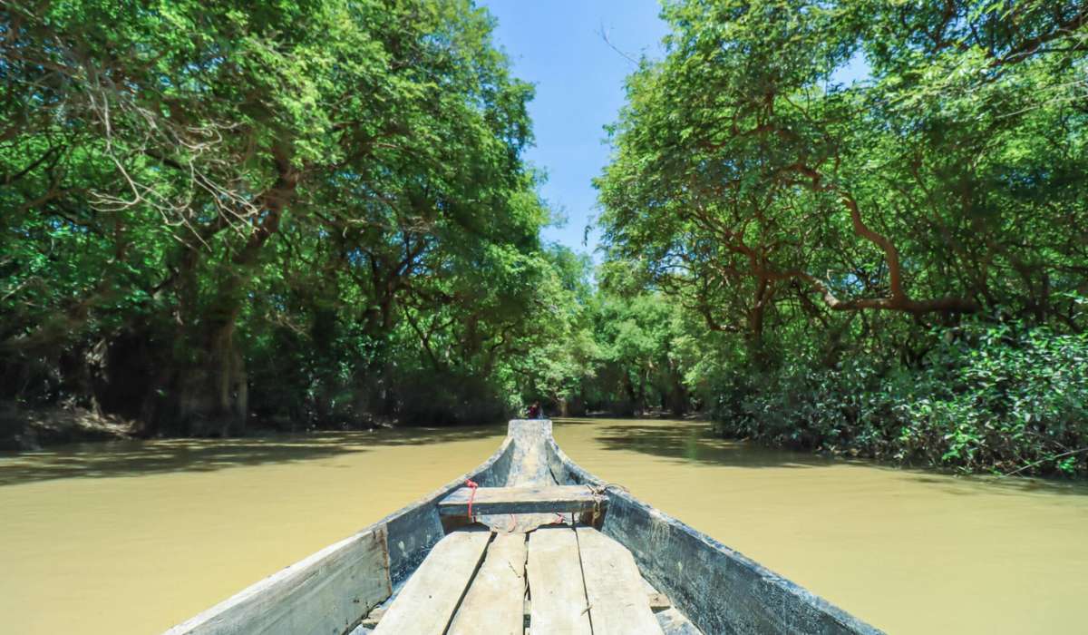 Hiking Haor: Wetland Adventures in Bangladesh