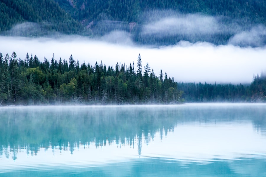 Discovering the Beauty of Oze National Park in Japan