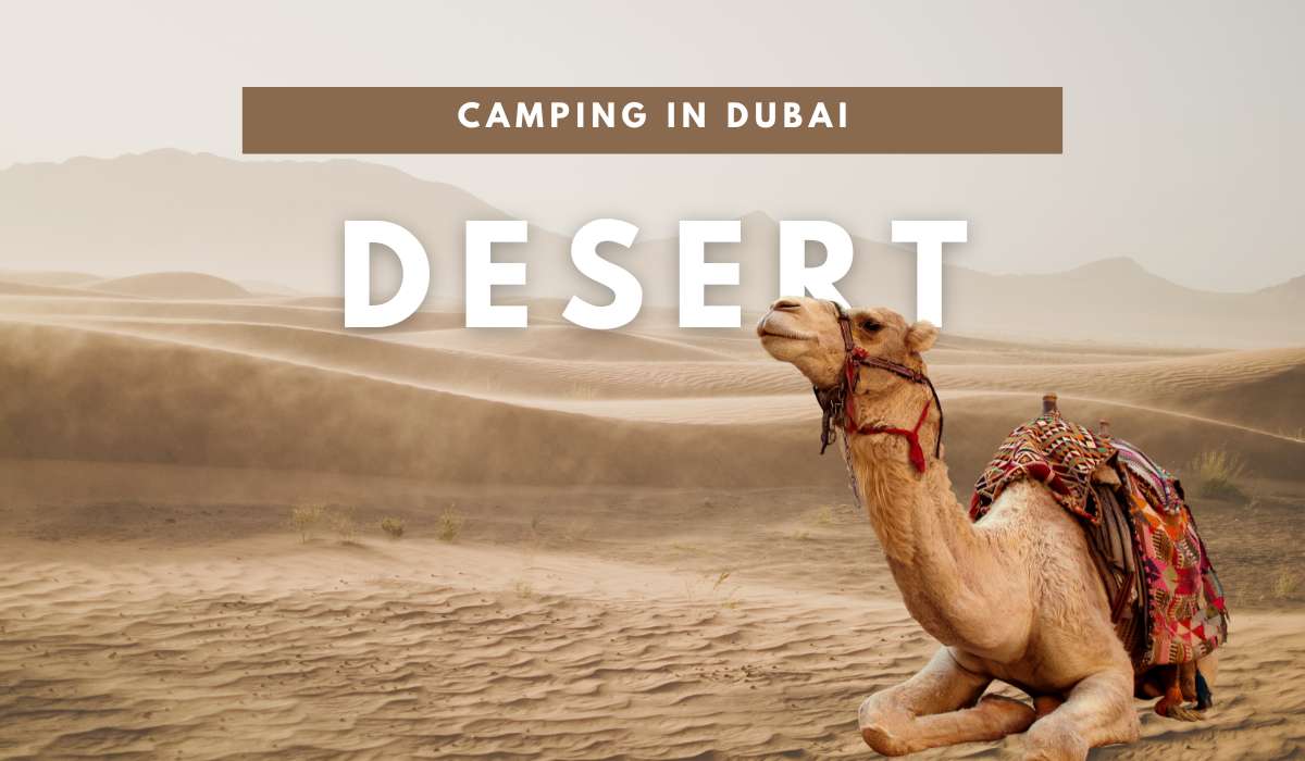 Desert Camping in Dubai: A Unique Adventure
