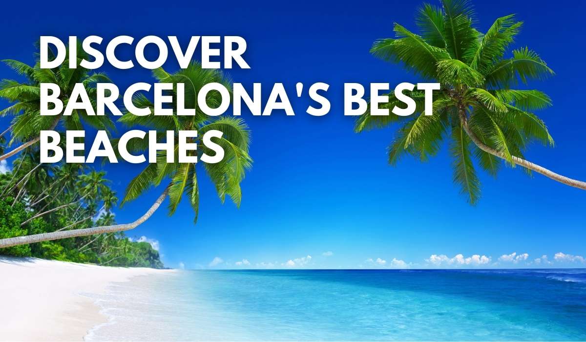 Discover Barcelona’s Best Beaches: Sun, Sand, and Sea