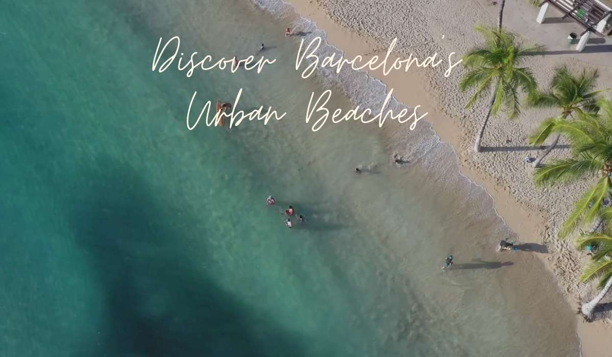 Discover Barcelona’s Urban Beaches