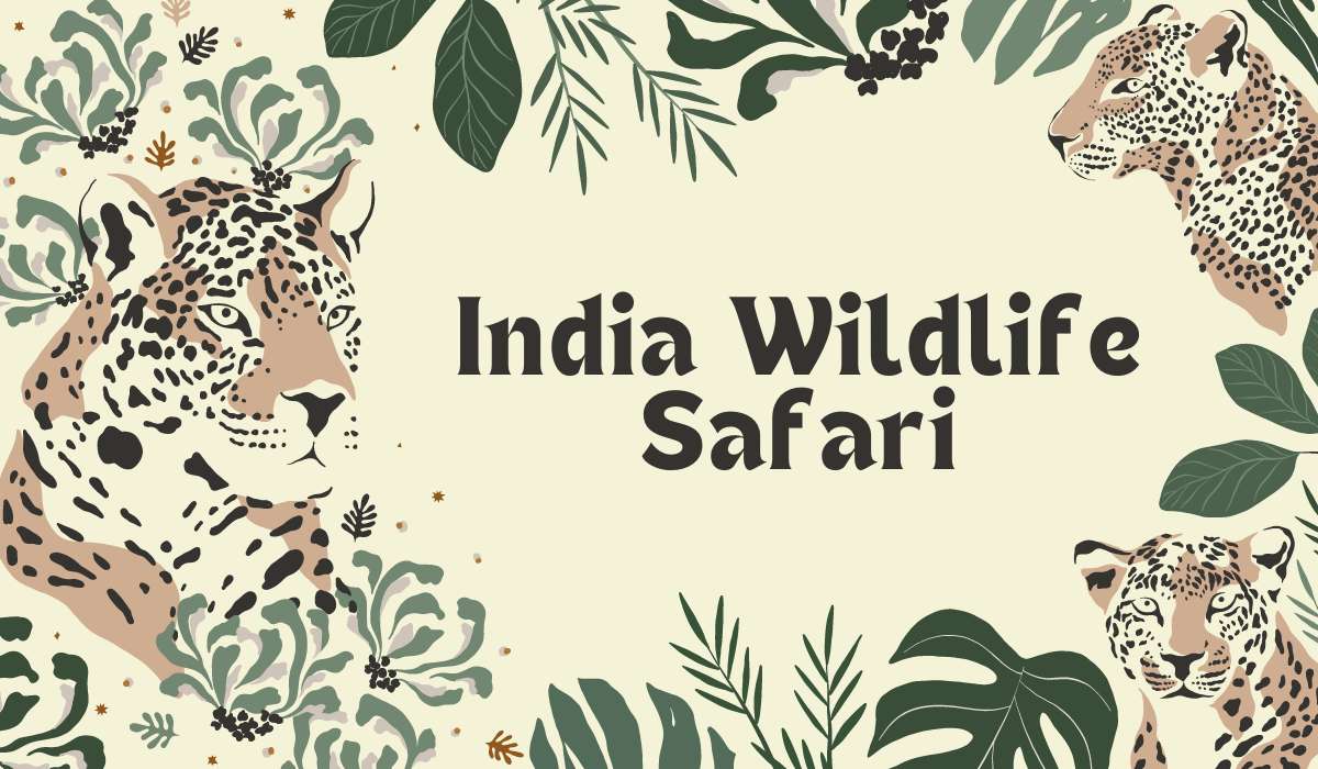 Experiencing the Thrill of India Wildlife Safari - Hillw