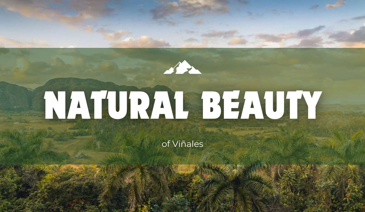 Natural Beauty of Viñales: A Guide to Cuba’s Countryside