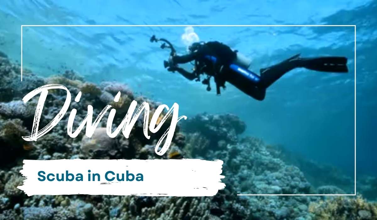 Exploring Havana’s Underwater Wonders: Scuba Diving in Cuba