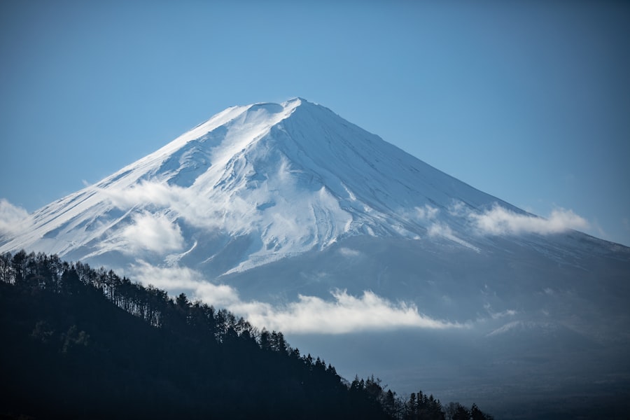 Tokyo Day Tour: Discovering Hidden Gems Beyond the City