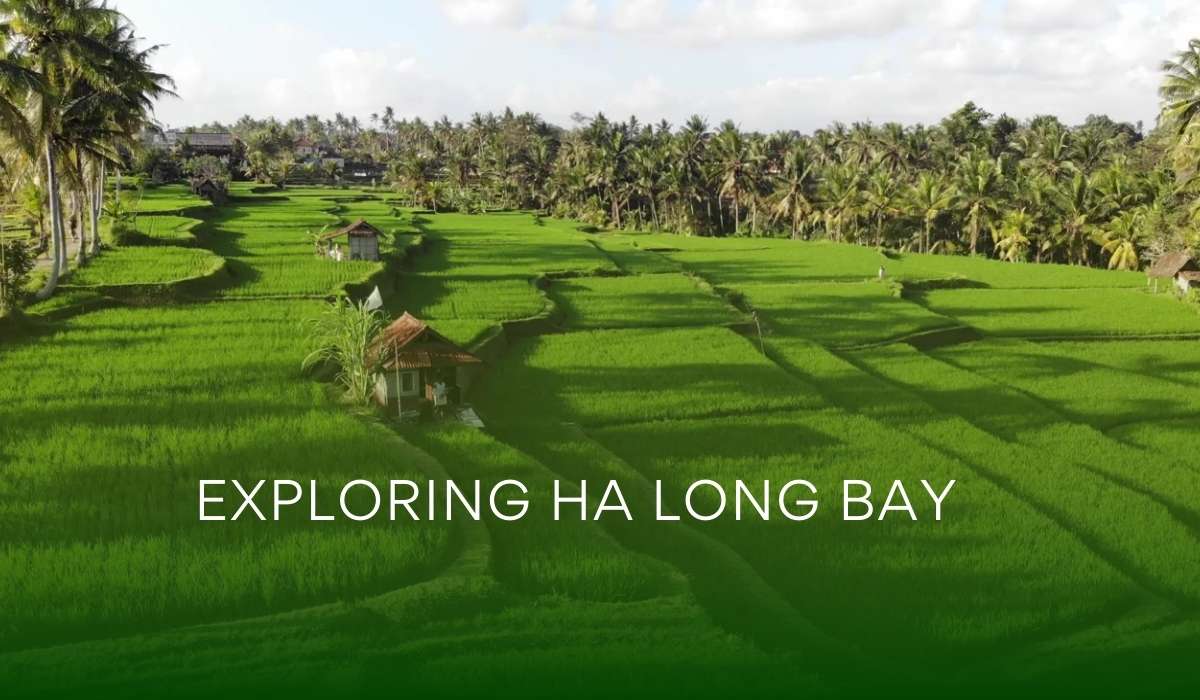 Exploring Ha Long Bay