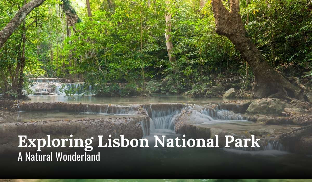 Exploring Lisbon National Park: A Natural Wonderland