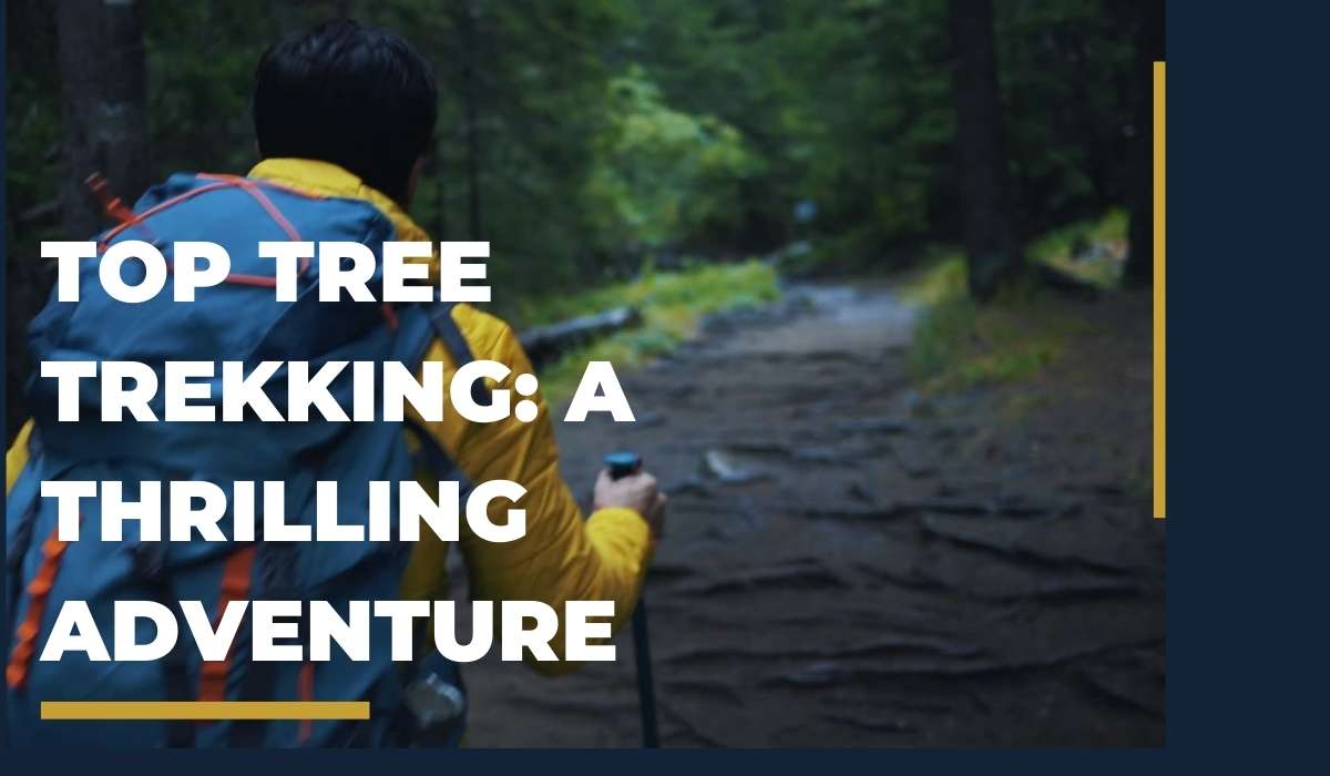 Top Tree Trekking: A Thrilling Adventure