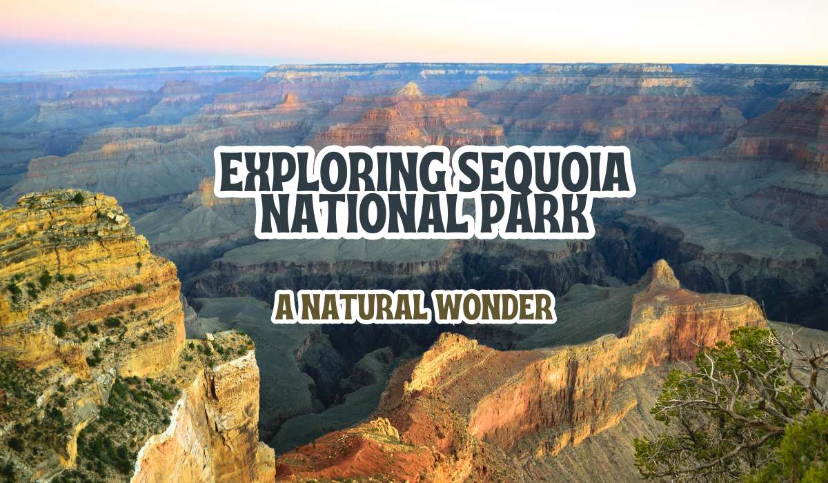 Exploring Sequoia National Park: A Natural Wonder