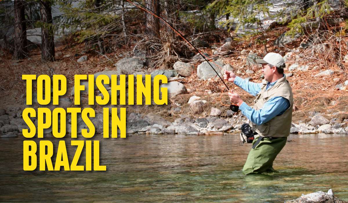 Top Fishing Spots in Brazil