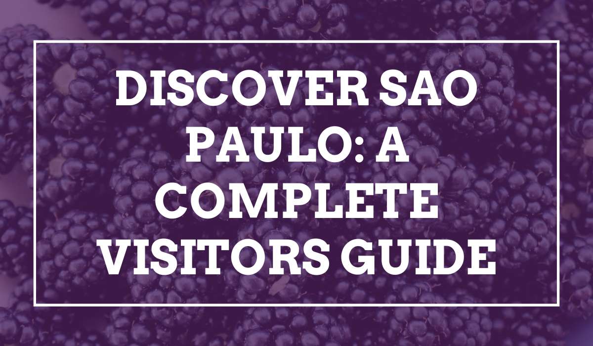 Discover Sao Paulo: A Complete Visitors Guide