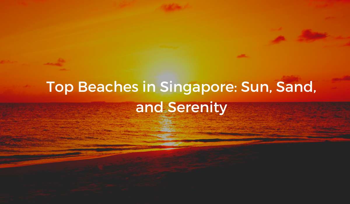 Top Beaches in Singapore: Sun, Sand, and Serenity